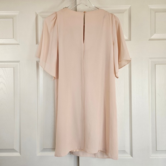 Dorothy Perkins Blush Pink Embellished Shift Dress | Flutter Sleeve |‎ US 8 - Picture 8 of 8